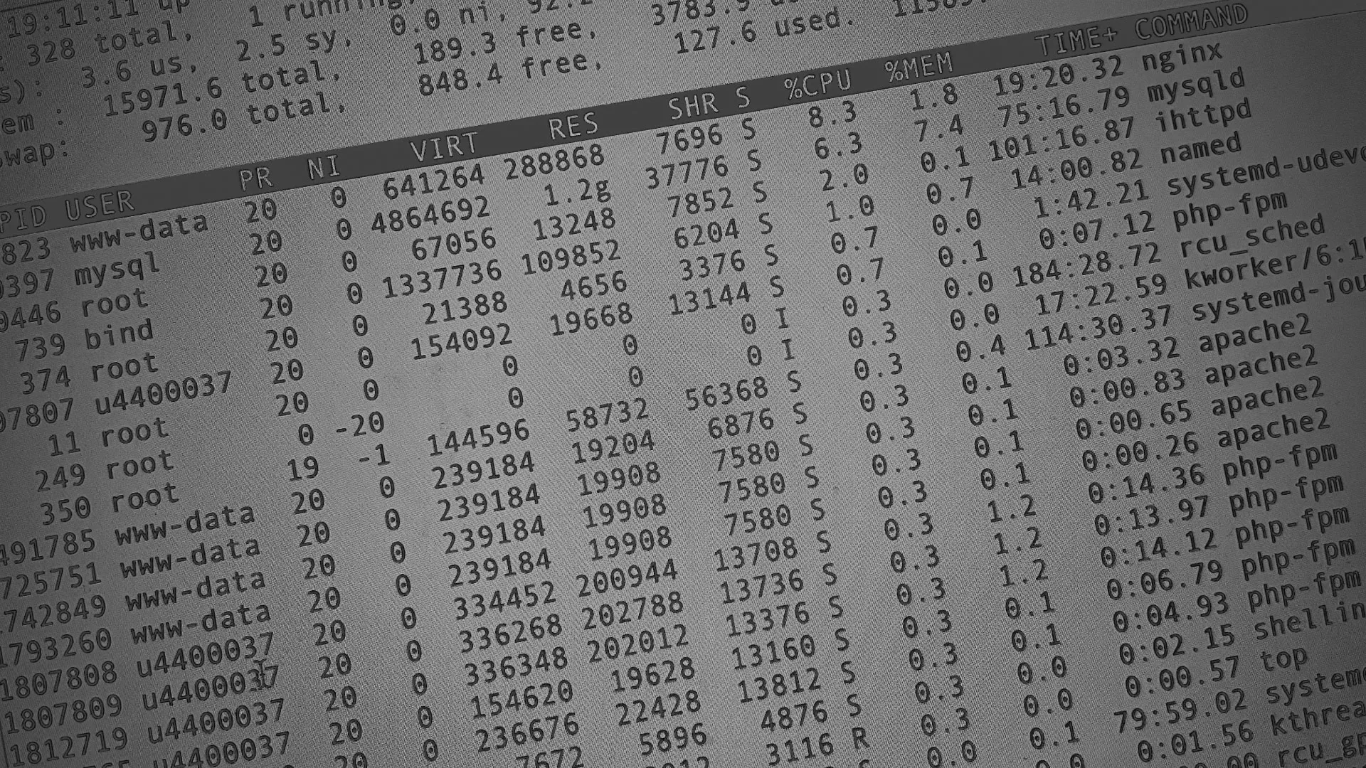 Настройка сервера в Кирсе Настройка сервера в Кирсе